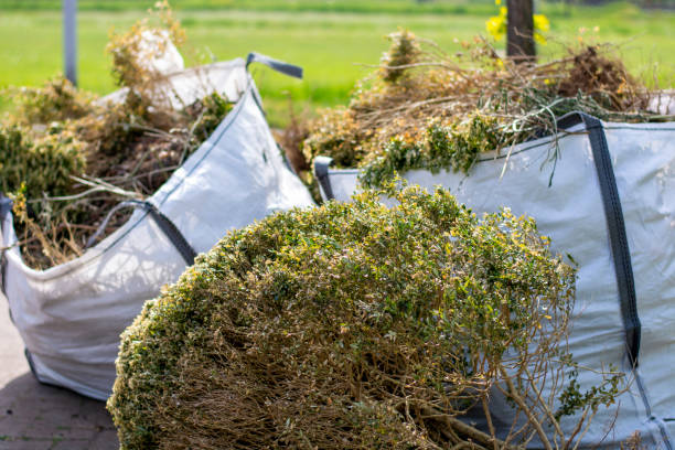 Best Attic Cleanout Services  in Ixonia, WI